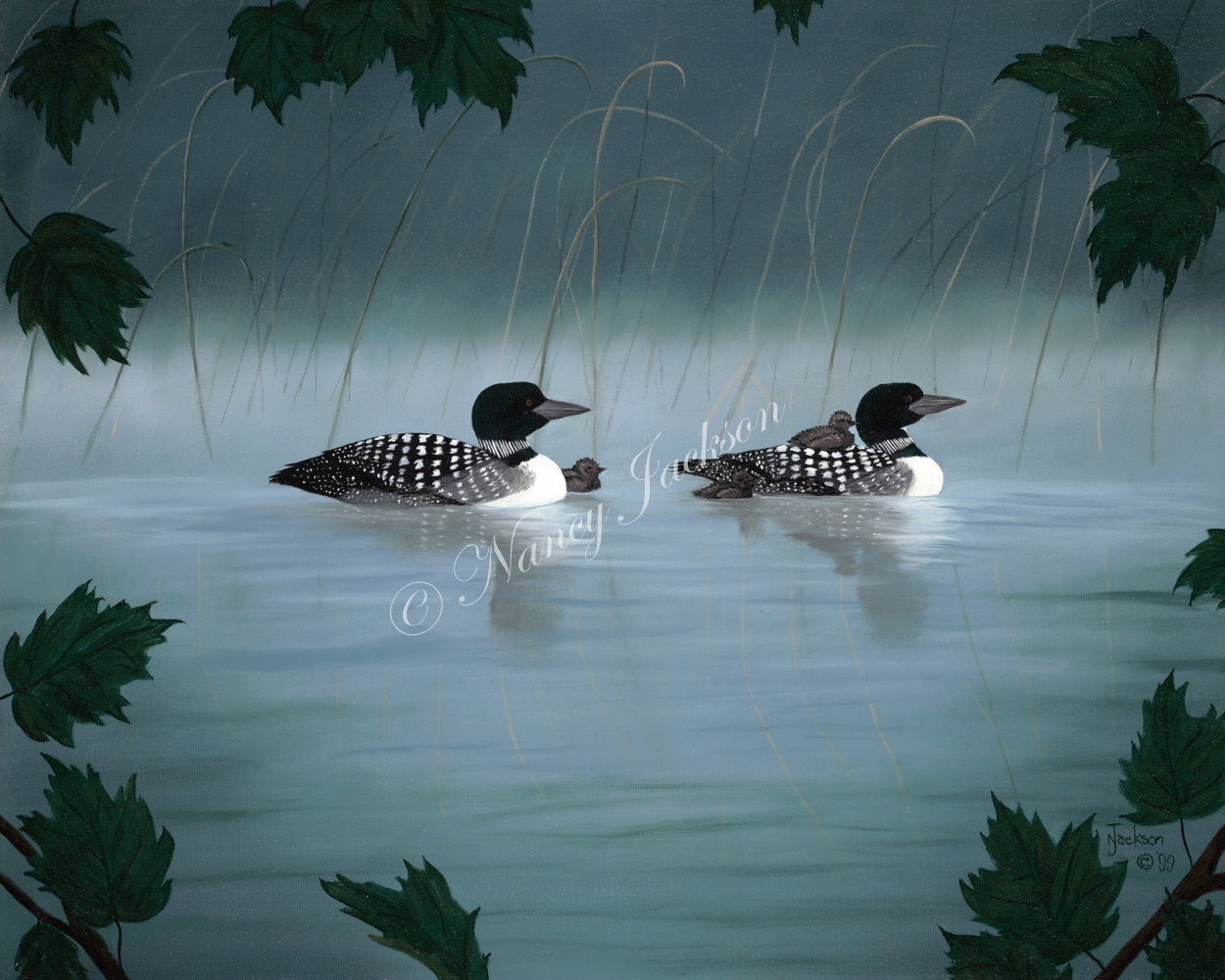 Loons Through the Maples