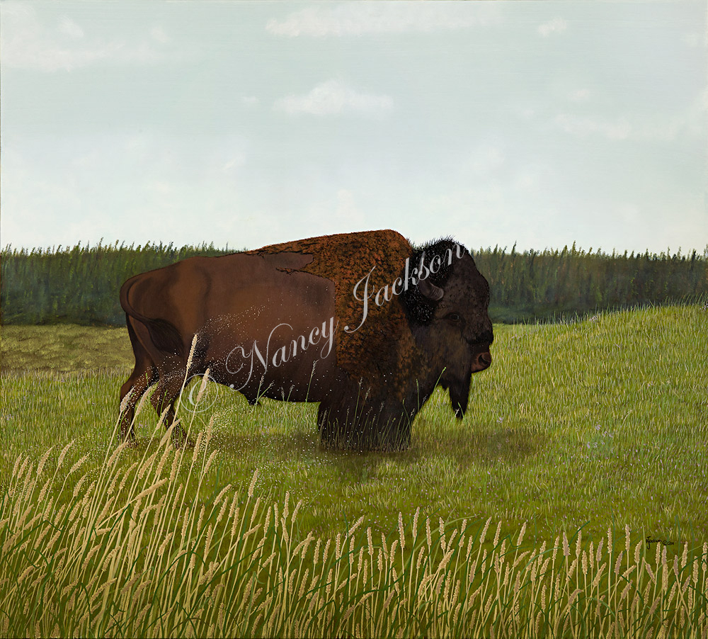 September Plains September Plains